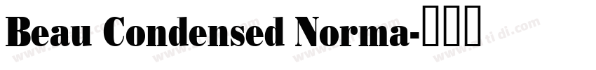 Beau Condensed Norma字体转换
